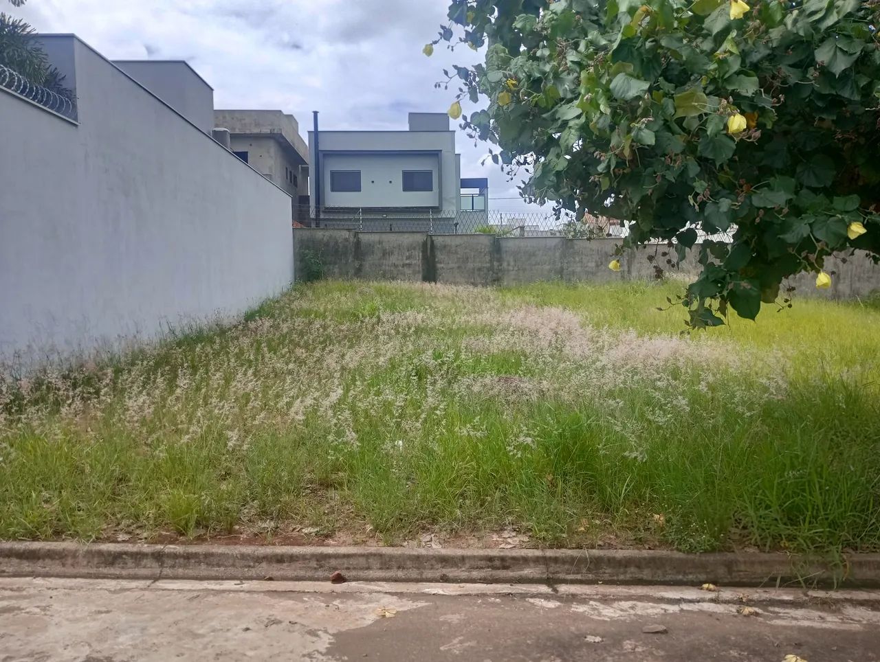 Foto - Piracicaba - Taquaral