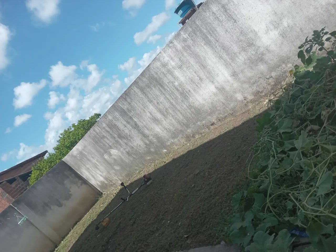 Limpeza De Matos - Foto 5