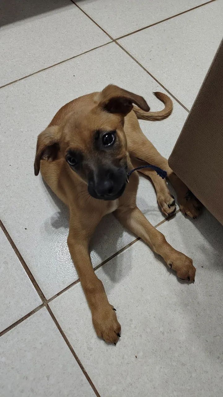 Doação 