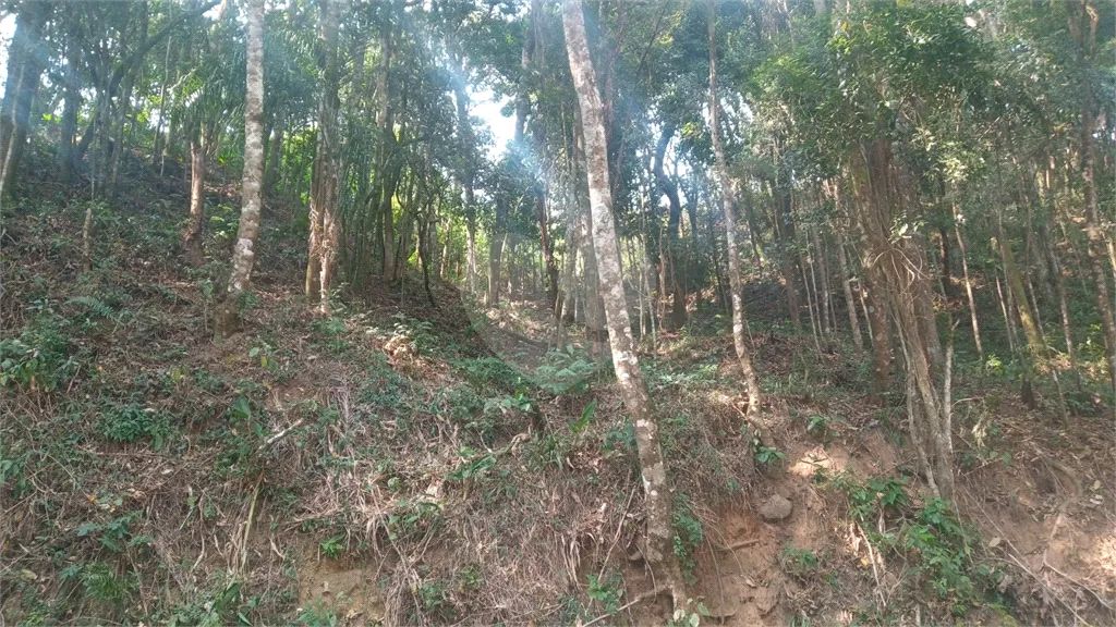 Terreno à venda em Caraguatá - SP - Foto 5