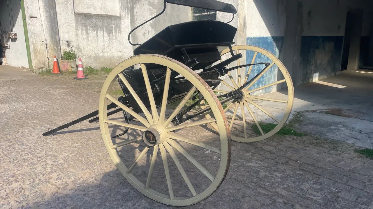 Charrete faéton aranha  - Foto 4