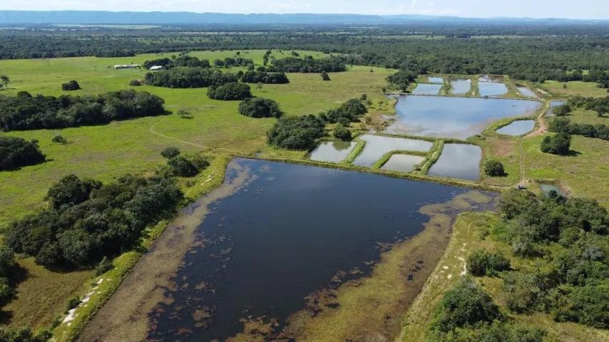 Fazenda Cuiabá - Foto 4