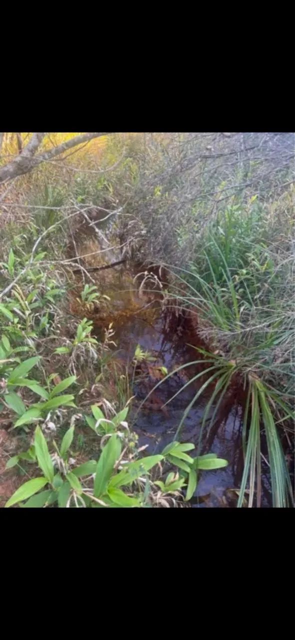 VENDE-SE TERRENO EM PIEDADE DOS GERAIS POVOADO CASA BRANCA - Foto 2