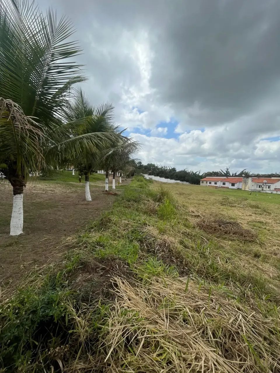 Excelente área para verticalização. - Foto 4