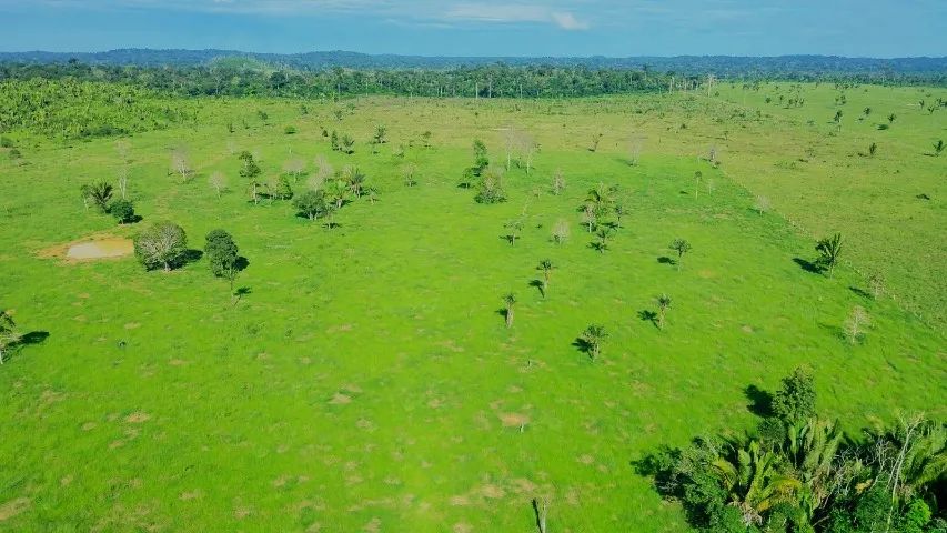 VENDO FAZENDA COM ÁREA DE 490 HECTARES - Foto 5
