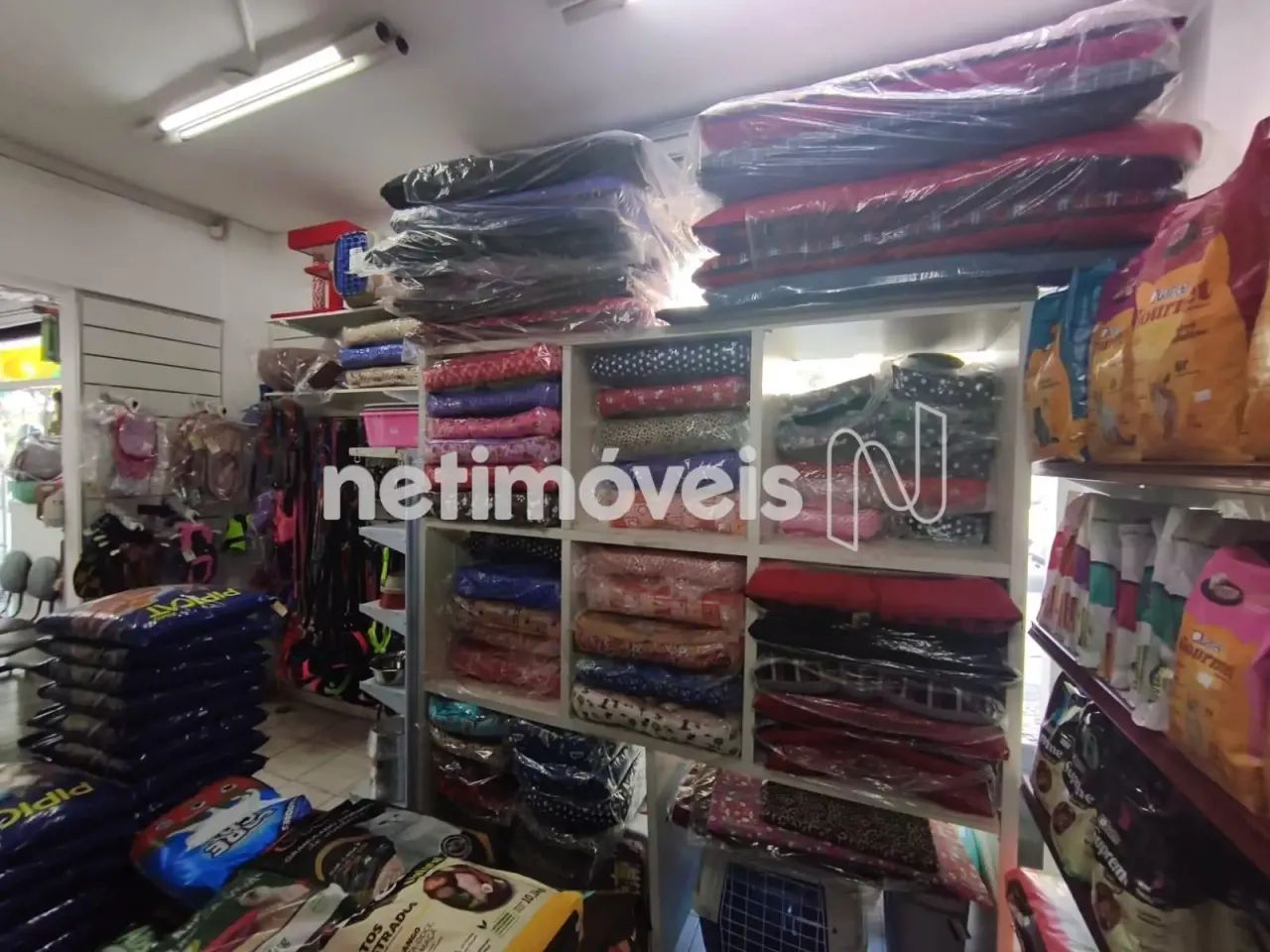 Loja no Nova Granada - Foto 3