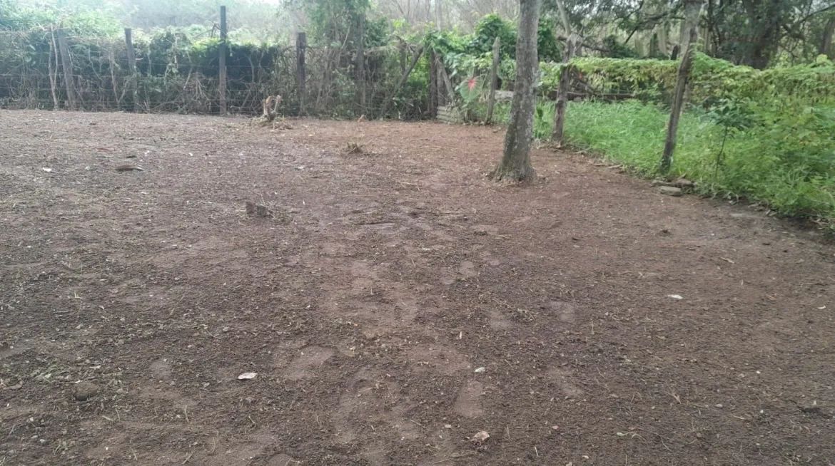 Vende-se terreno  - Foto 3