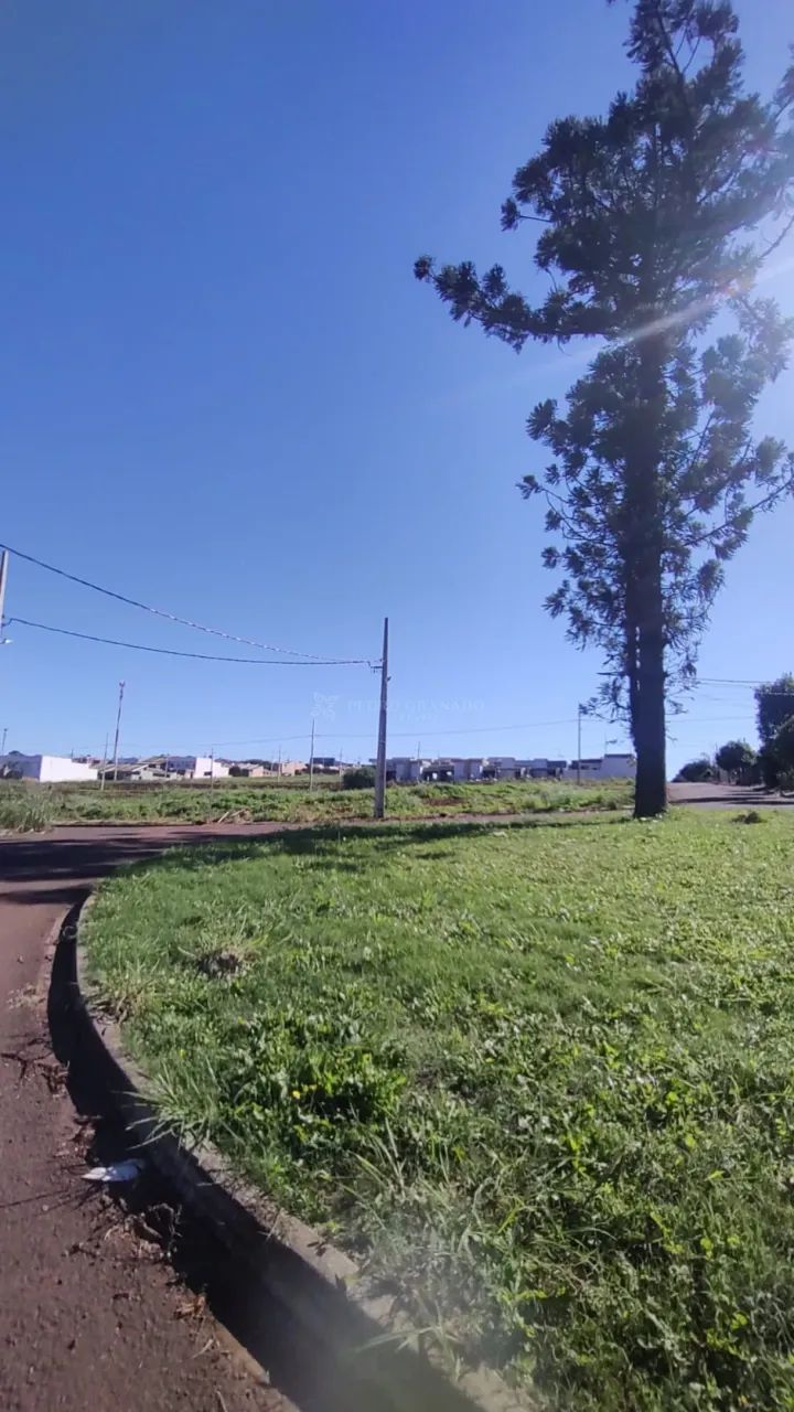 Terreno Padrão em Paiçandu - Foto 3