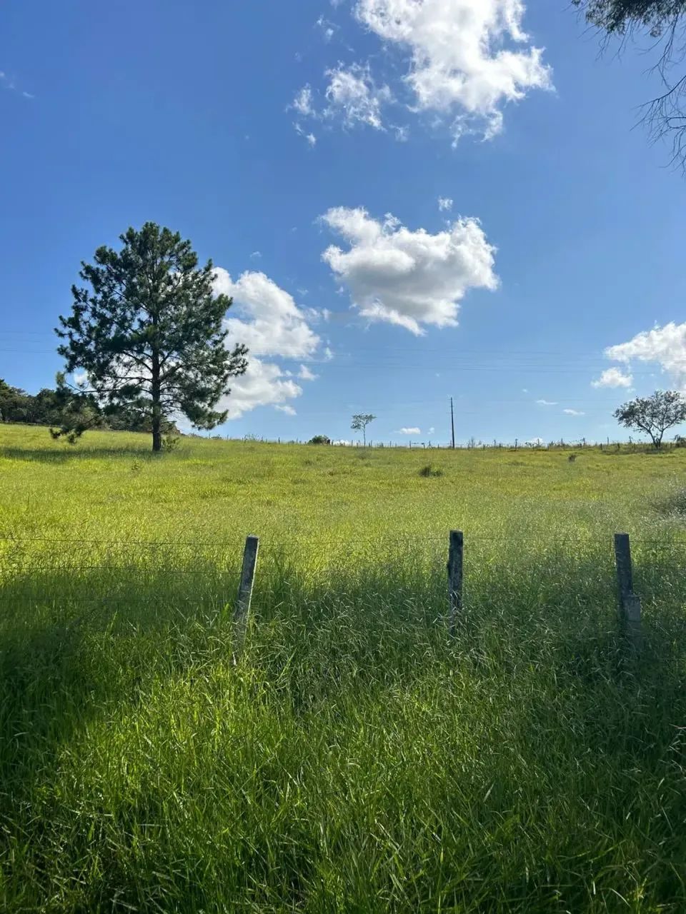 Lote 500m² em Ibiúna Região Tranquila - Foto 2