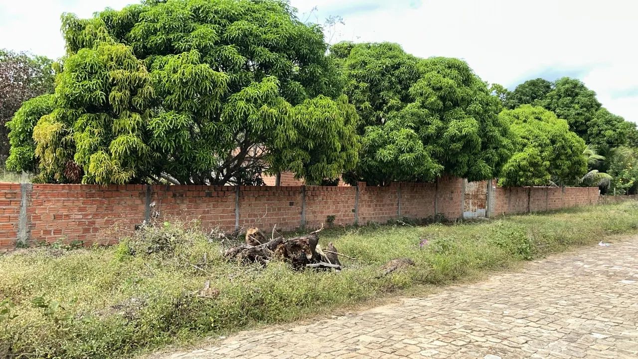 Terreno  - Foto 5