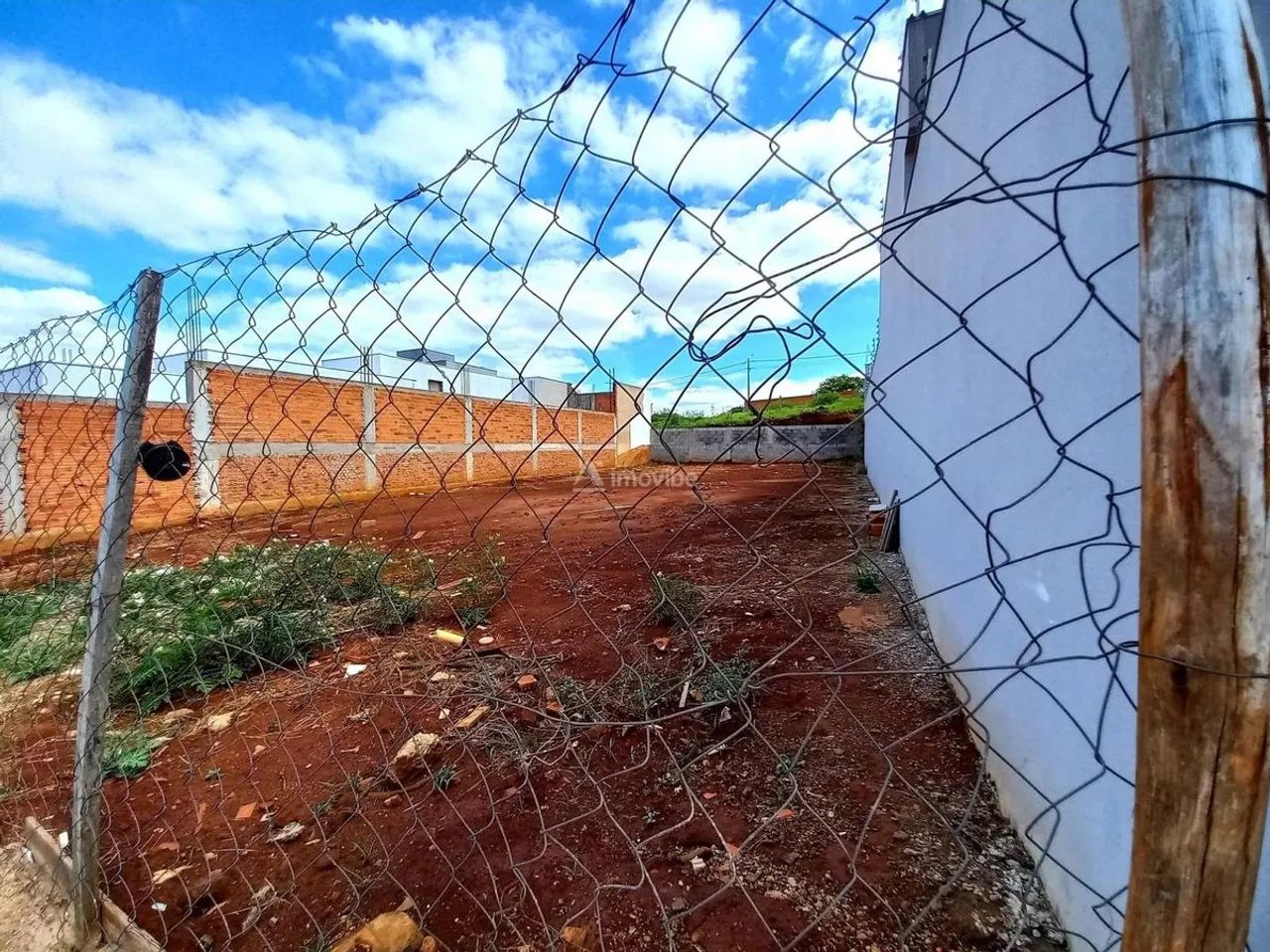 Lote/Terreno - Americana - Foto 5