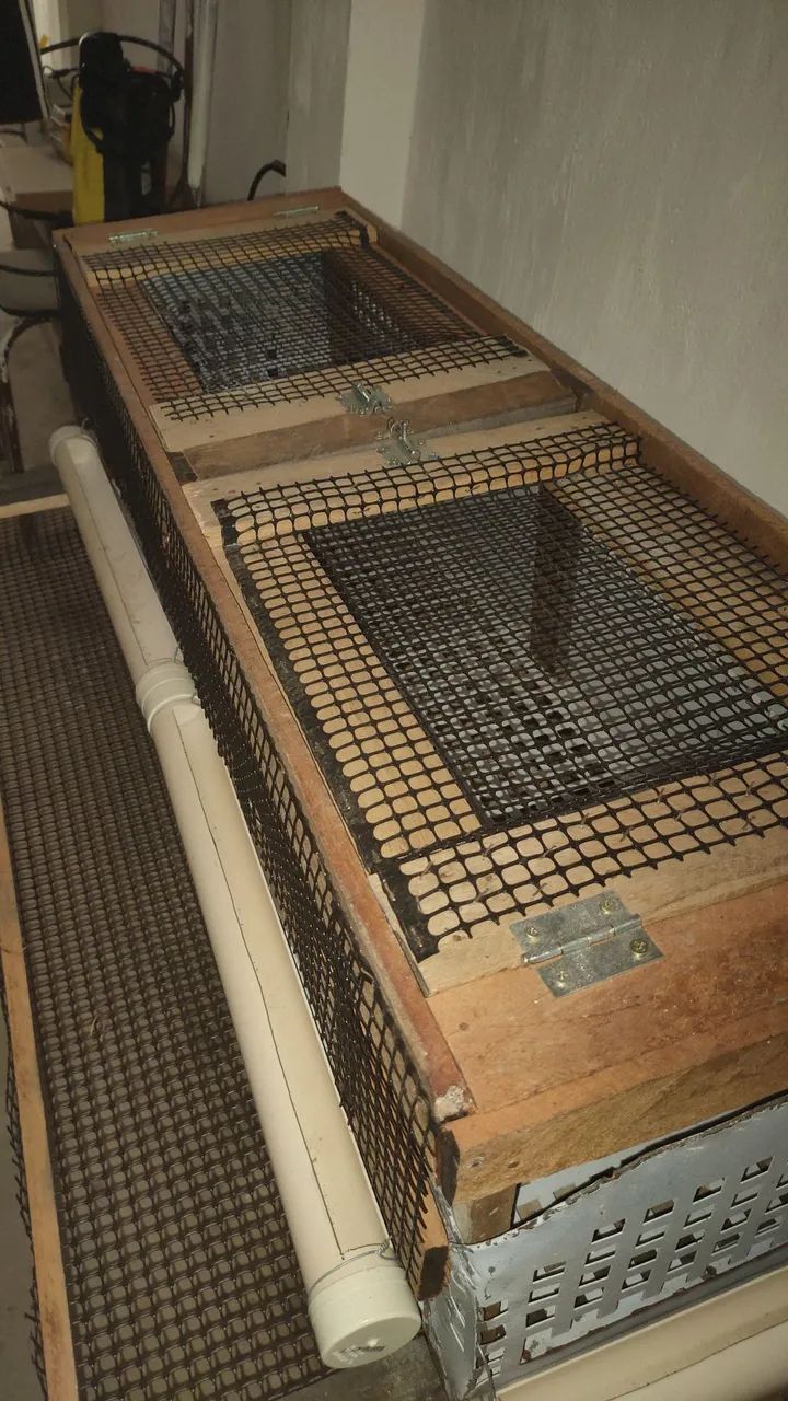 Viveiro para codornas  - Foto 2