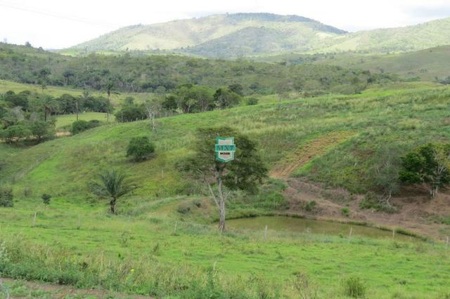 Fazenda Pecuária no Gongogi de 1.100 Hectares. Melhor custo beneficio - Foto 4