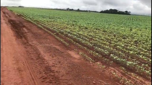 Fazenda em Nobres MT - Foto 2