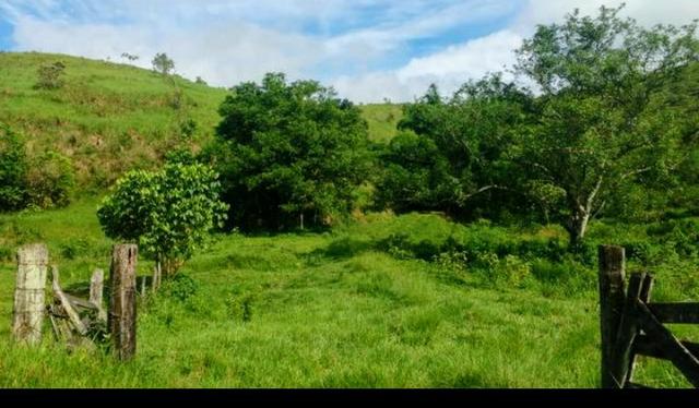 Belíssima Propriedade em Cachoeiras de Macacu medindo 200.000m2 oportunidade!!! - Foto 7