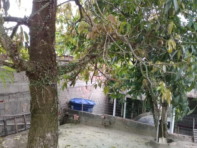 Pequeno sítio de 720 m2, todo plantado em Itambi - Foto 17