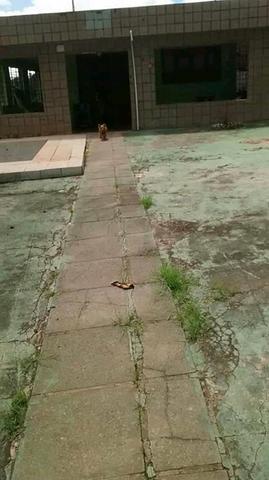 Casa pra alugar - Foto 6