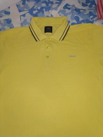 Polo da colcci