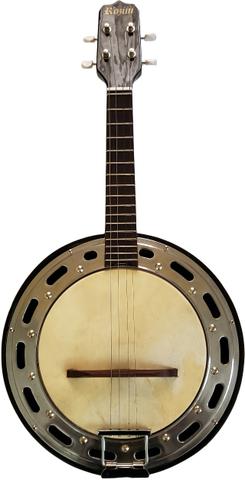 Banjo Elétrico Rozini RJ11ELP