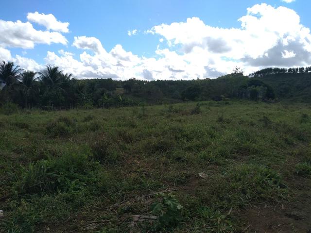 Terreno 10.000m2 - Foto 2