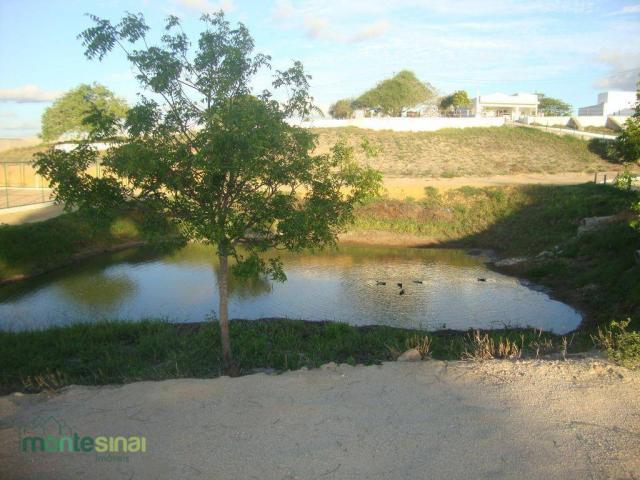 Terreno à venda, 367 m² por R$ 57.000,00 - Condomínio Privê Portal do Agreste - São João/P - Foto 11
