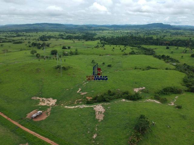 Fazenda à venda, por R$ 10.000.000 - Zona Rural - Presidente Médici/RO - Foto 17