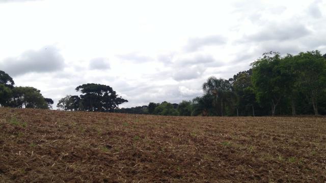 Chacara R$ 310,000.00 Faz. Rio Grande /Mandirituba medindo 20.000.00m2 - Foto 4