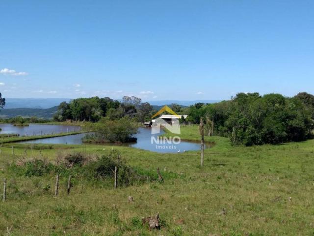 Chácara com 1 dormitório à venda, 50000 m² por r$ 318.000,00 - santa cruz da concórdia - t