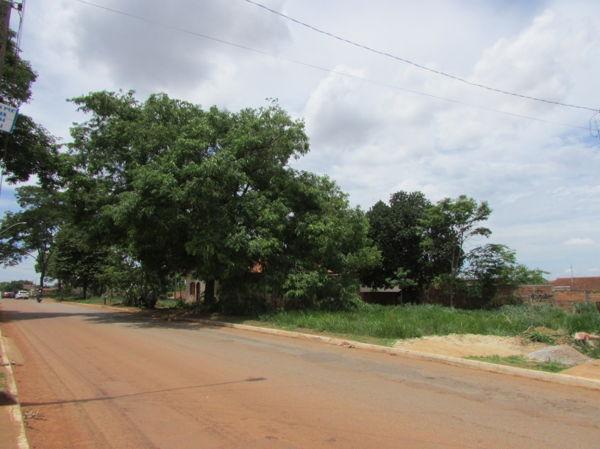 Terreno em rua - Bairro Jardim Veneza em Aparecida de Goiânia - Foto 3