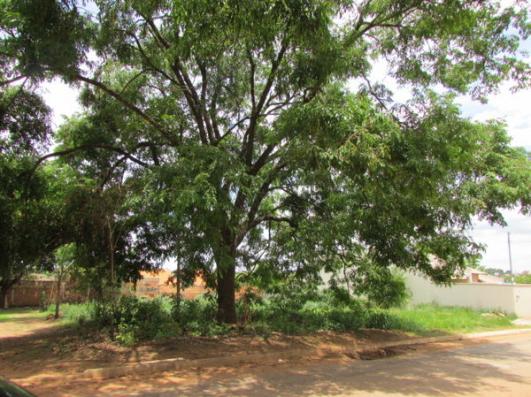 Terreno em rua - Bairro Jardim Veneza em Aparecida de Goiânia