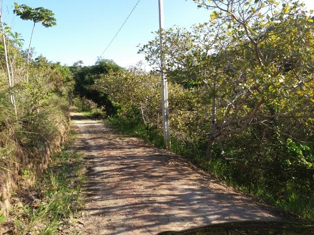 Sítio em Tamandaré - Foto 3