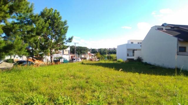 Terreno, Protásio Alves, Porto Alegre-RS - Foto 7