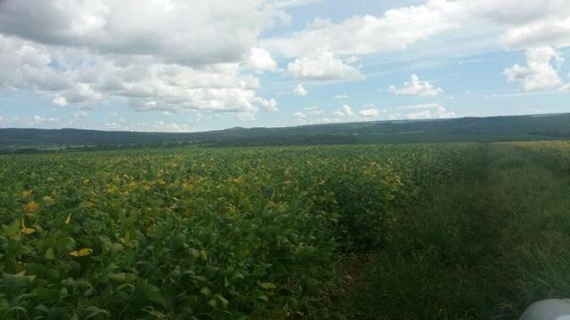 Fazenda à venda: 130 km de Brasília - DF, 1.683 hectares - R$ 40.000.000,00 - Foto 7
