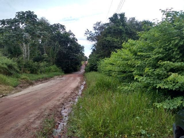 Sitio no cupiuba em Castanhal-Pa 100x450 R$ 120 mil reais troco em casa em Castanhal - Foto 11