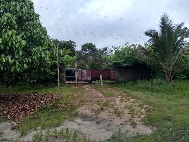 Sitio no cupiuba em Castanhal-Pa 100x450 R$ 120 mil reais troco em casa em Castanhal - Foto 4