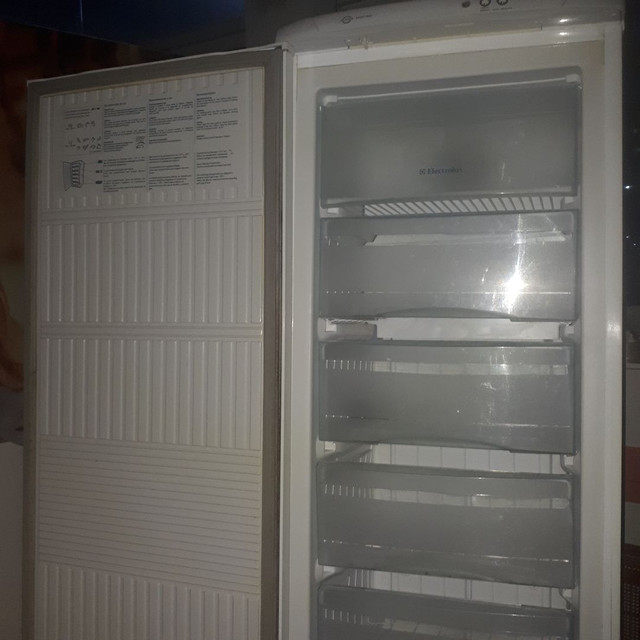 Freezer precisa trocar temporizador - Foto 2