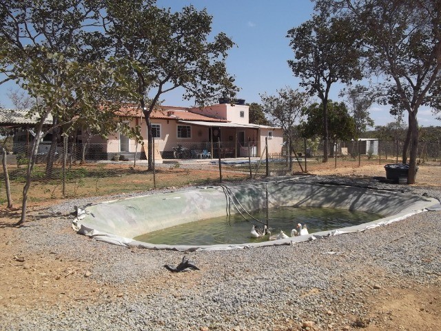 Sitio 20.000m² bem localizado, com sauna, piscina, poço de peixe artificial.
