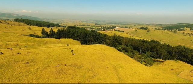 190.000.000         Vende-se 1.242 hectares - Foto 3