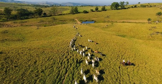 190.000.000         Vende-se 1.242 hectares - Foto 2