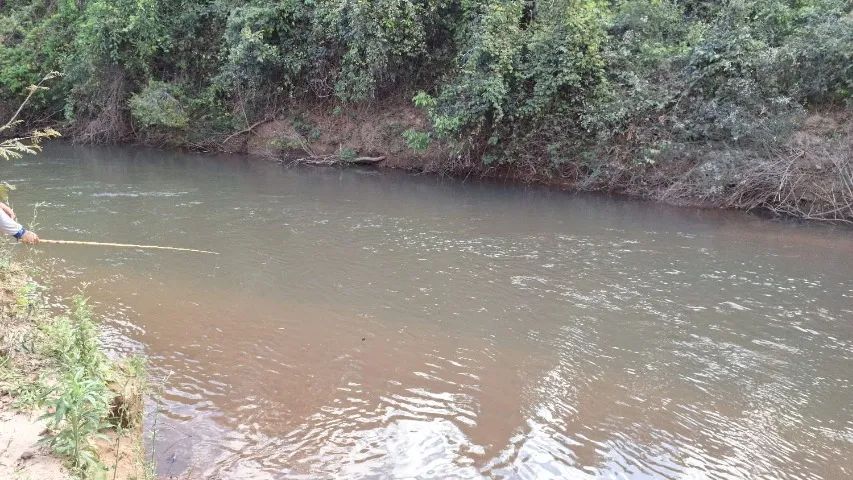 Chácara de 5 alqueire em Bela Vista de Goiás. - Foto 4