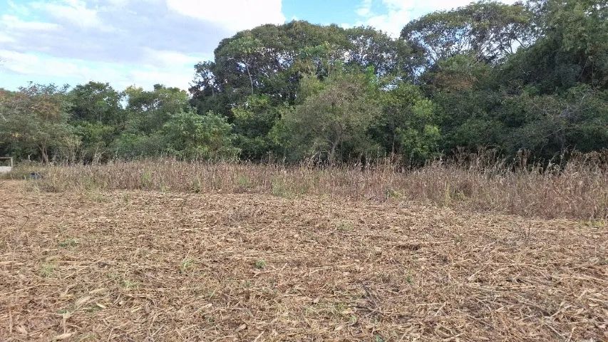 Chácara de 5 alqueire em Bela Vista de Goiás. - Foto 5