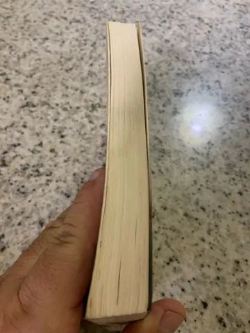 Livro o Pássaro da Dor   - Foto 2