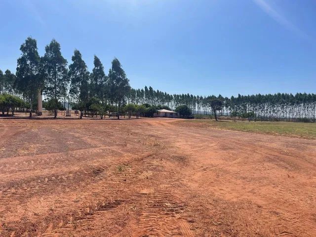 Fazenda de7982 em Paranatinga-MT - Foto 5