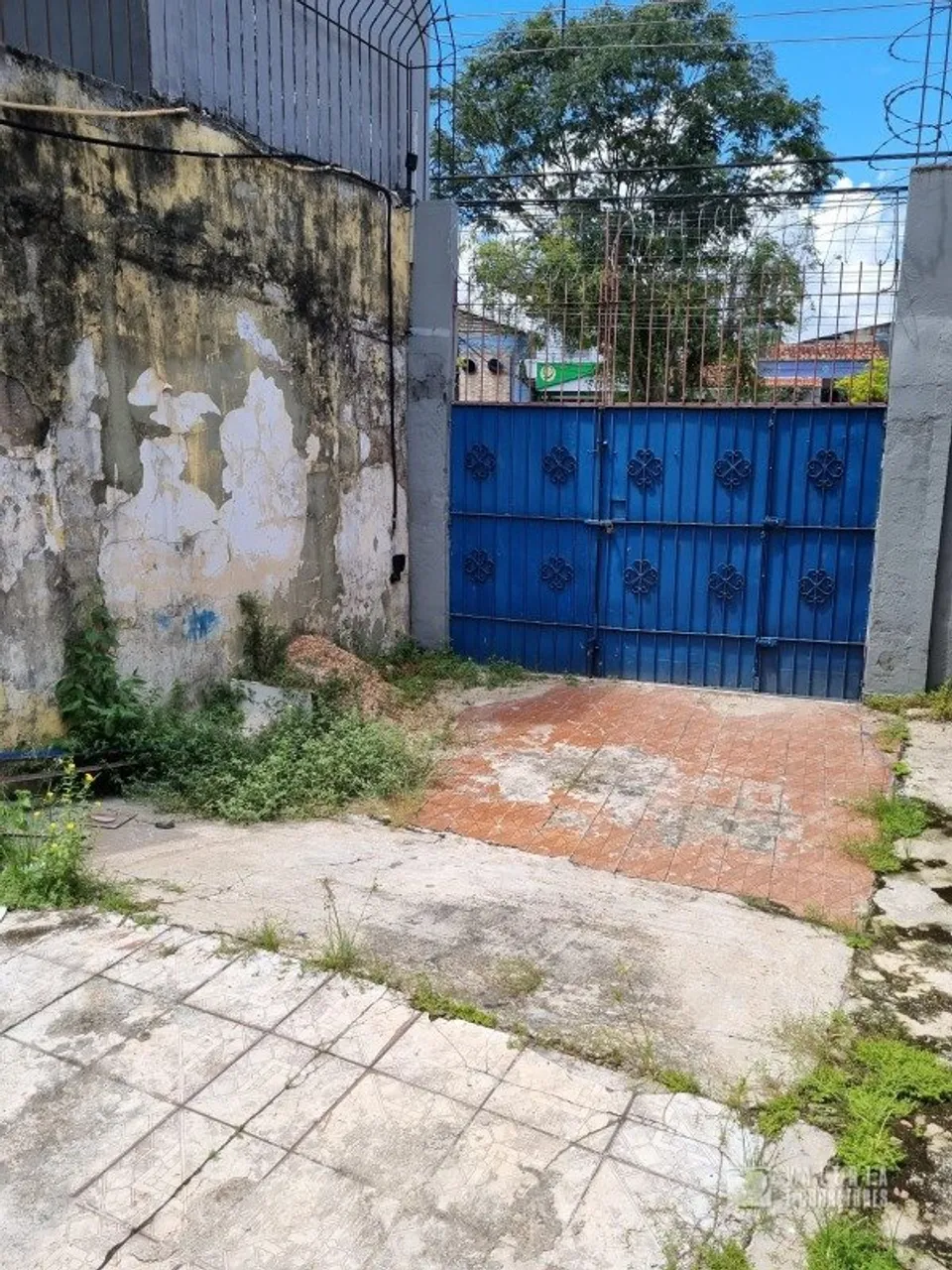 BELéM - Prédio Inteiro - Pedreira
