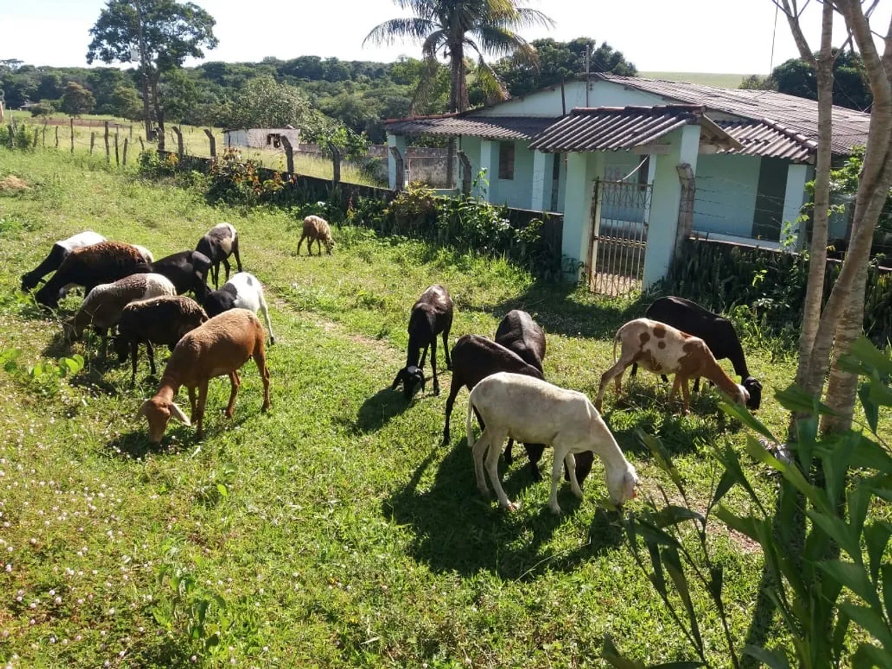 Alugo chácara Para moradia - NOS AMERICANOS, LUZIÂNIA-GO ? Aluguel: R$ 2.300,00/mês 