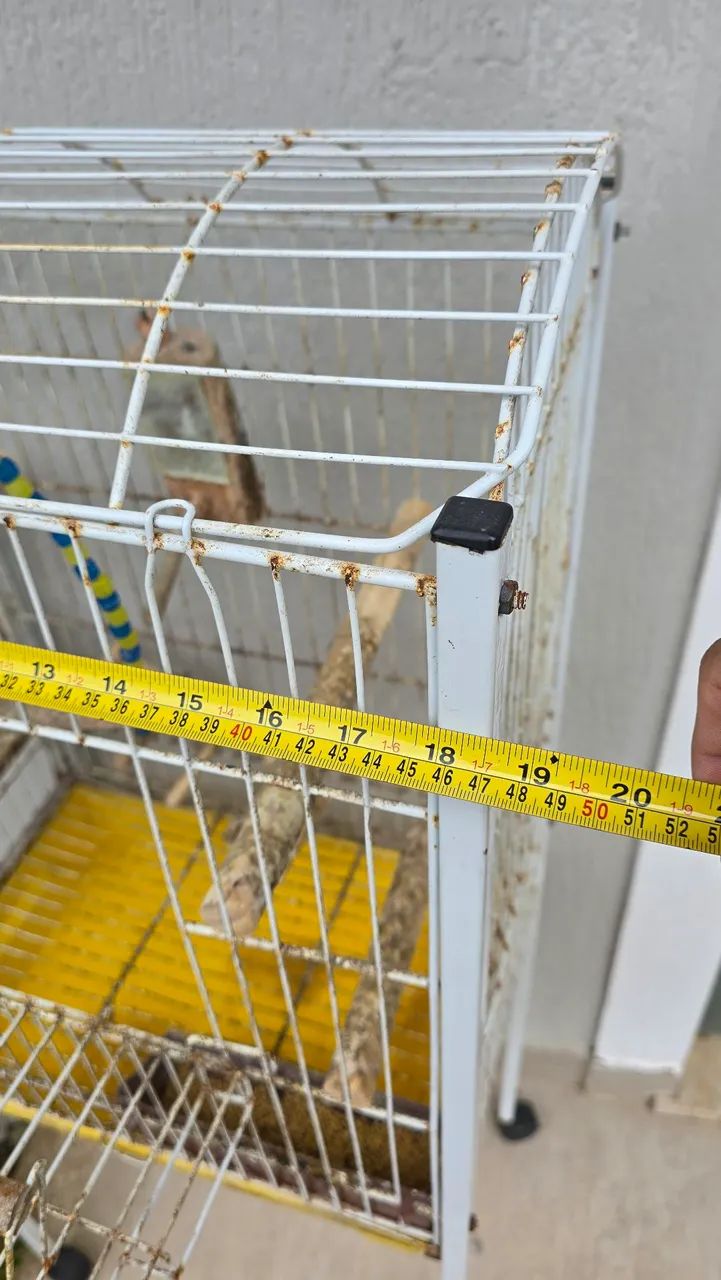 OPORTUNIDADE! Gaiola Viveiro Quatiguá  - Foto 4