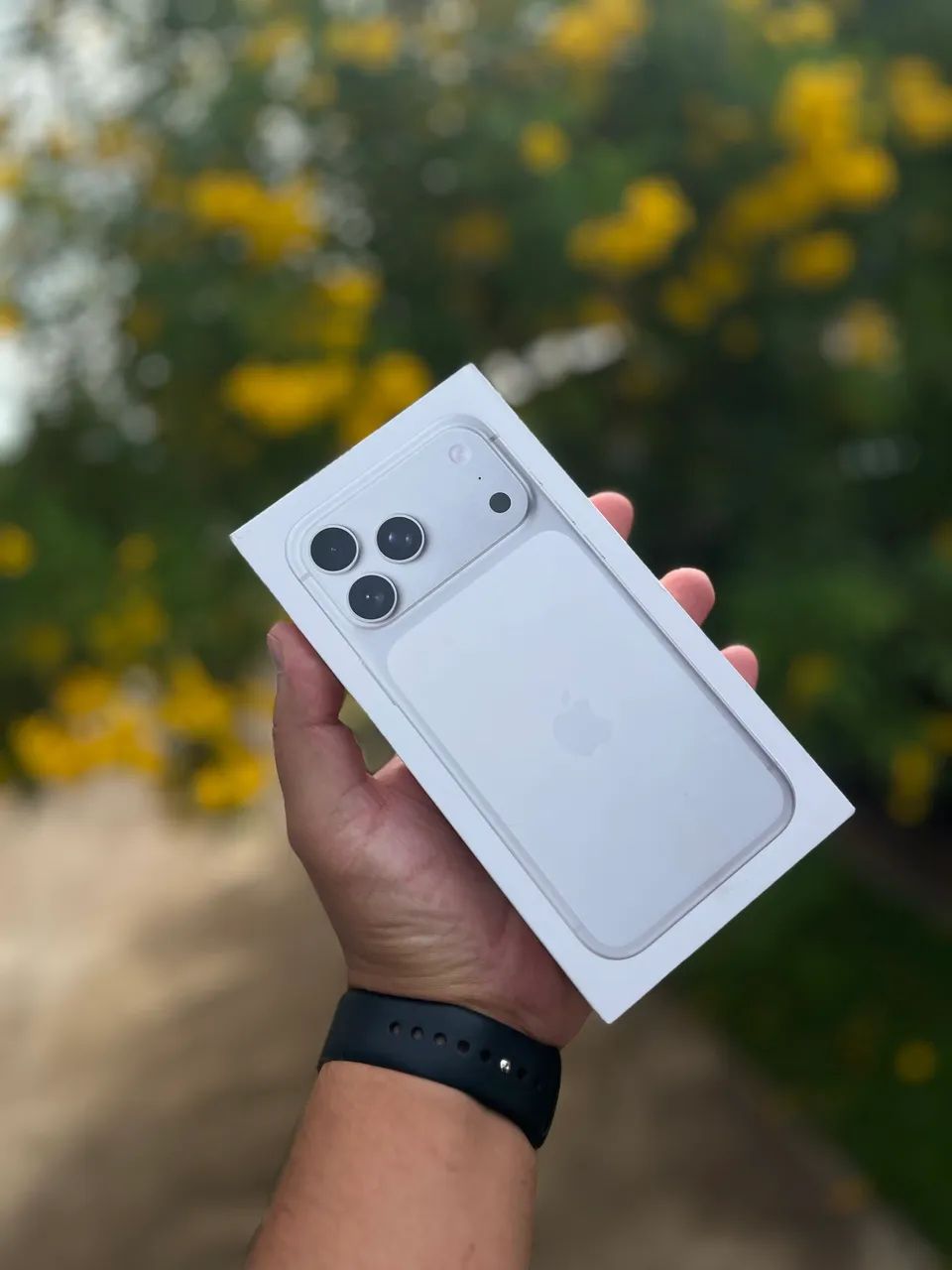 iPhone 17 Pro Max 256gb Silver - Celulares e Smartphones