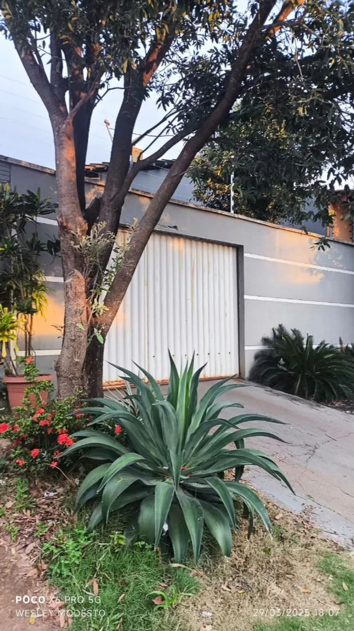 Aluguel de casa no Aureny I