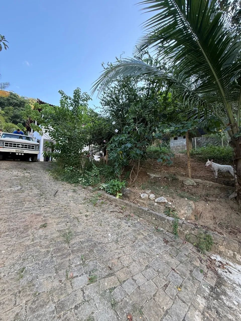 Vendo sítio bairro São Geraldo 