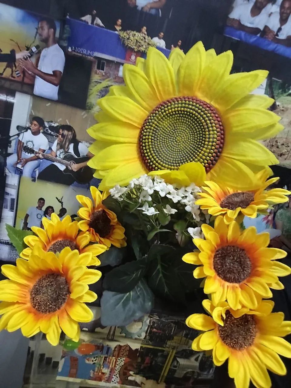 Girassol 64305624588674120